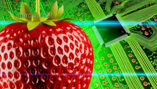 🍓全球最贵超市的草莓经济学：20美金一颗的离谱创新启示录！
